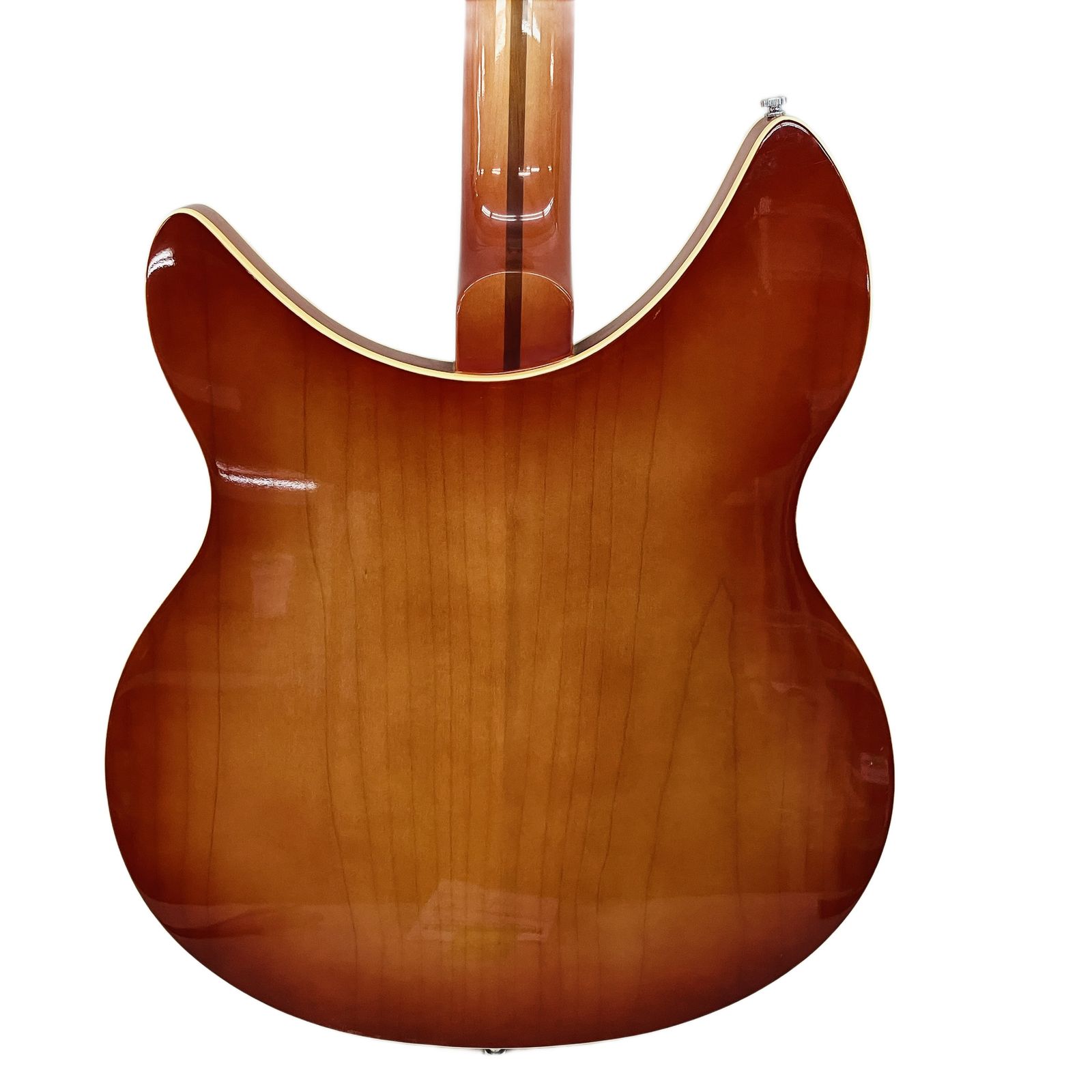  RG 120 エレキギター 12弦 音楽 フェルナンデス エレキギター ギター