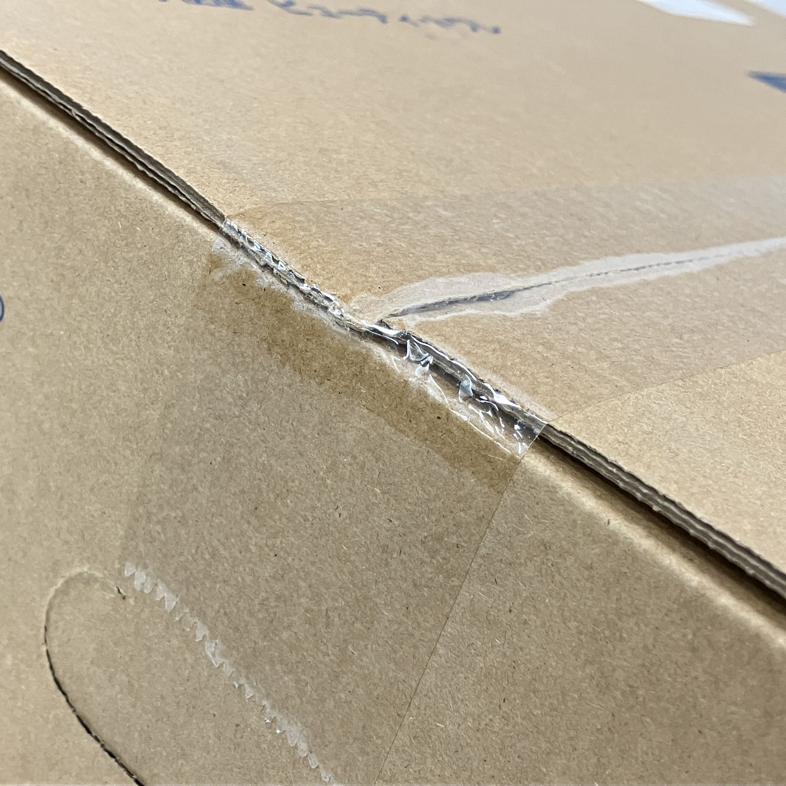 ビューティ トワレ