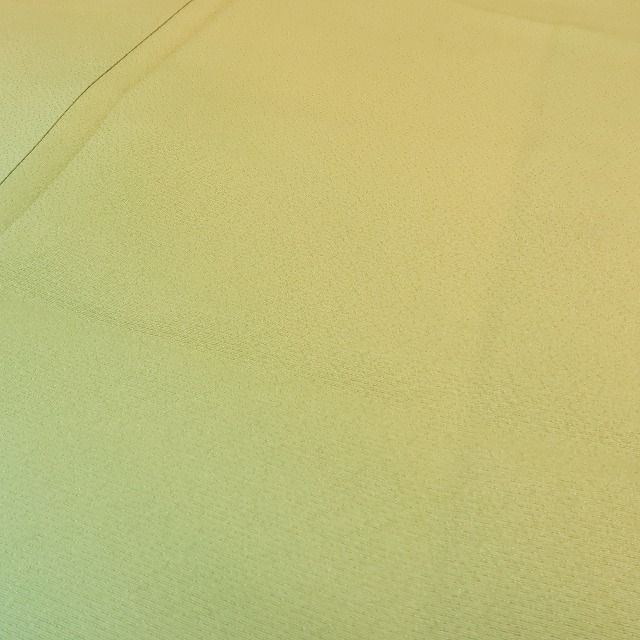 トールサイズ 付下げ