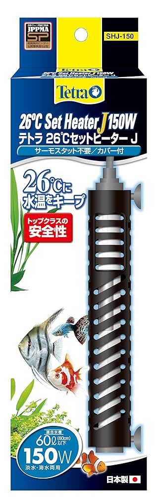 桜花目白図】今井景樹 2669 サクラにメジロ 共箱 掛け軸 肉筆