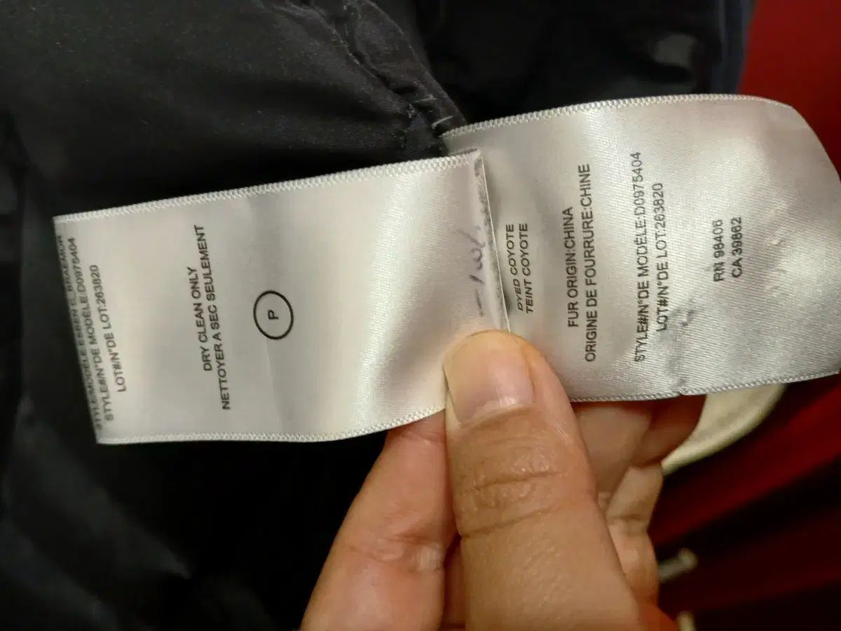 セオリーマン ダックダウン ダウン