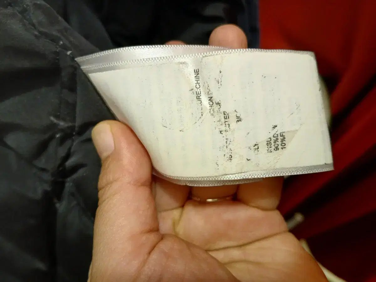 セオリーマン ダックダウン ダウン