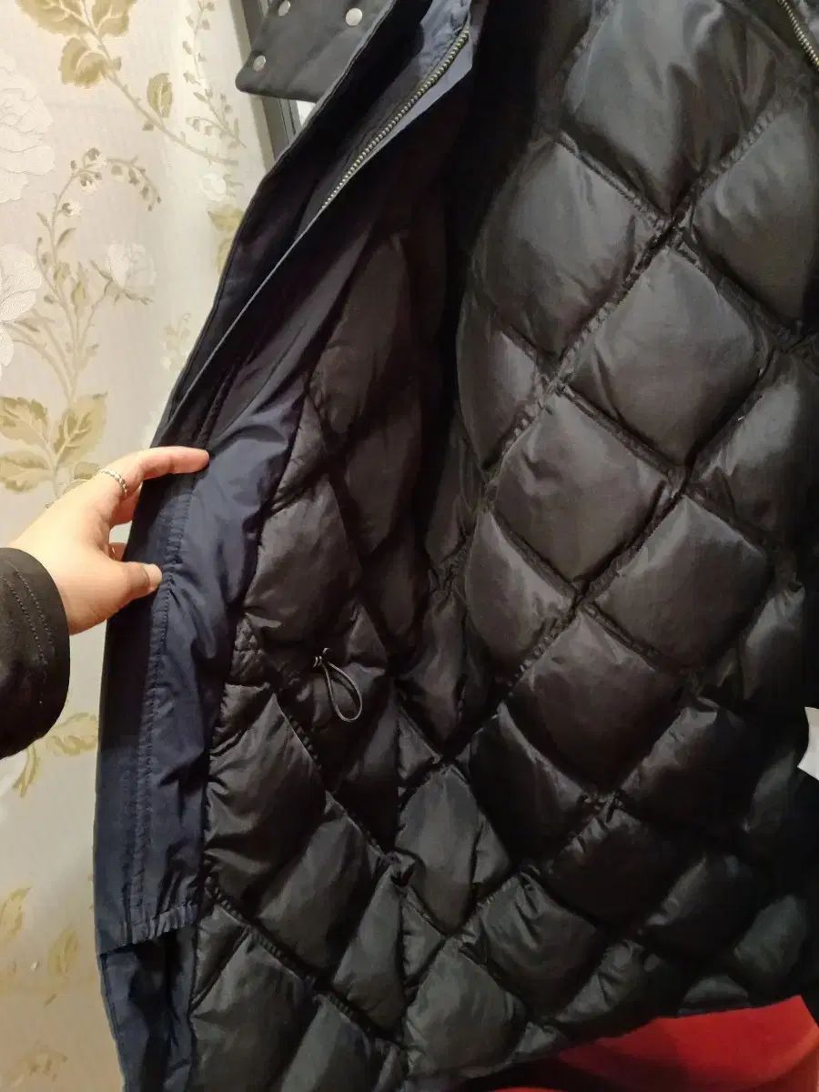 セオリーマン ダックダウン ダウン