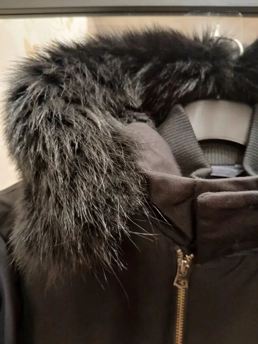 セオリーマン ダックダウン ダウン