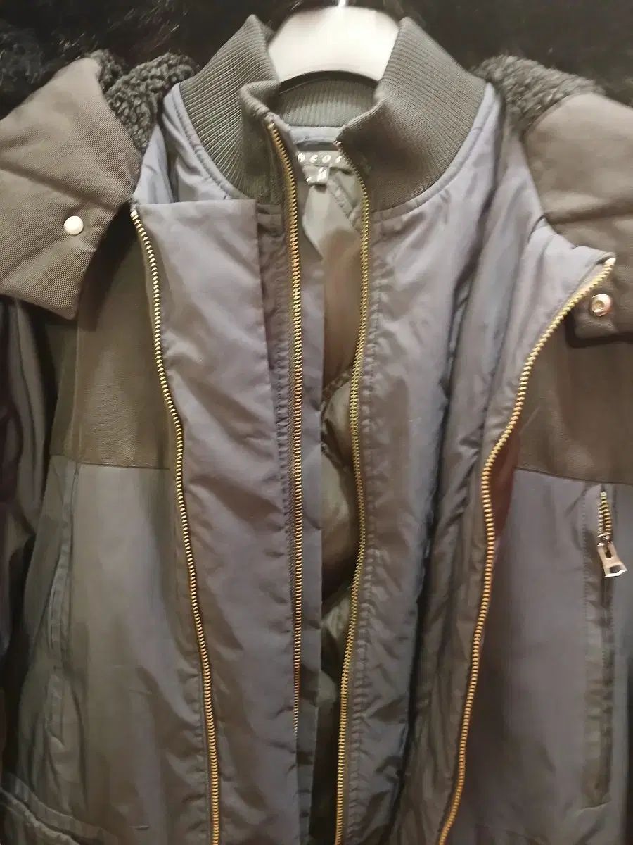 セオリーマン ダックダウン ダウン