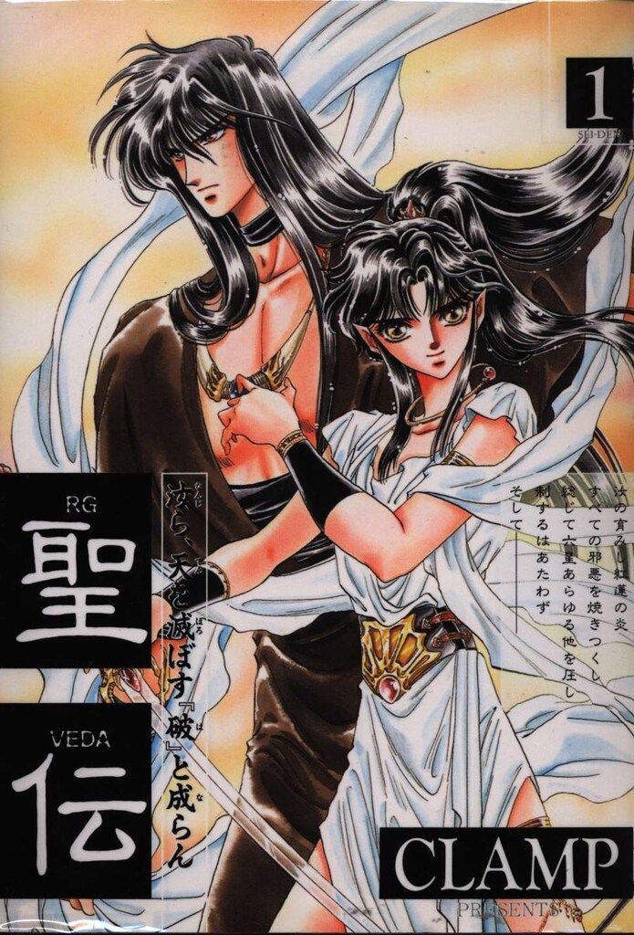 ビカクシダ FWSQ 長期養生株