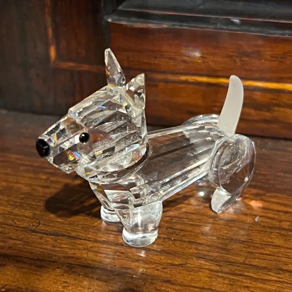 希少 SWAROVSKI/スワロフスキー 割引 テリア 廃盤 オブジェ・置物