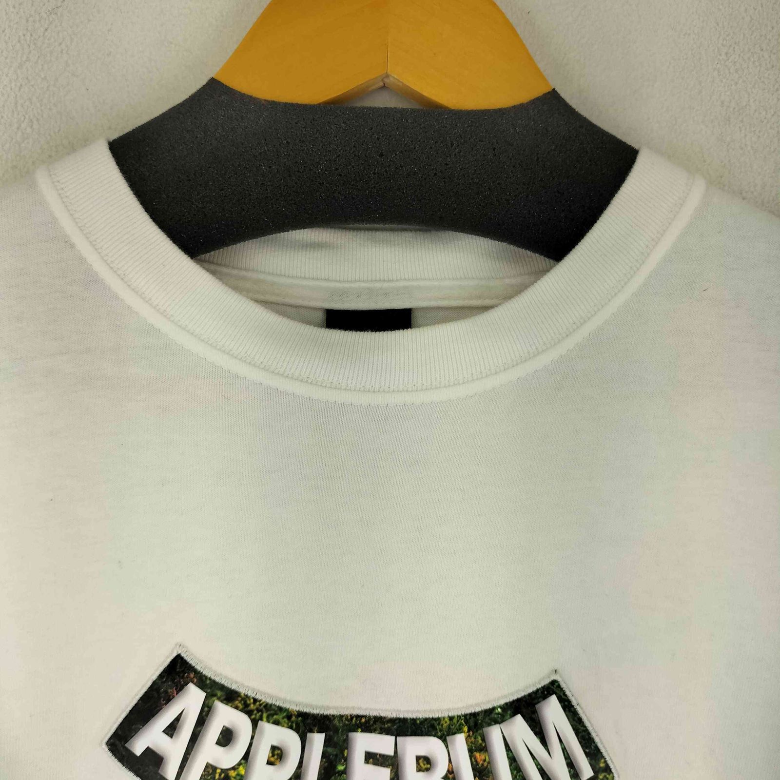 アップルバム APPLEBUM RAIDBACK Fabric WORM ロッドマン Tシャツ