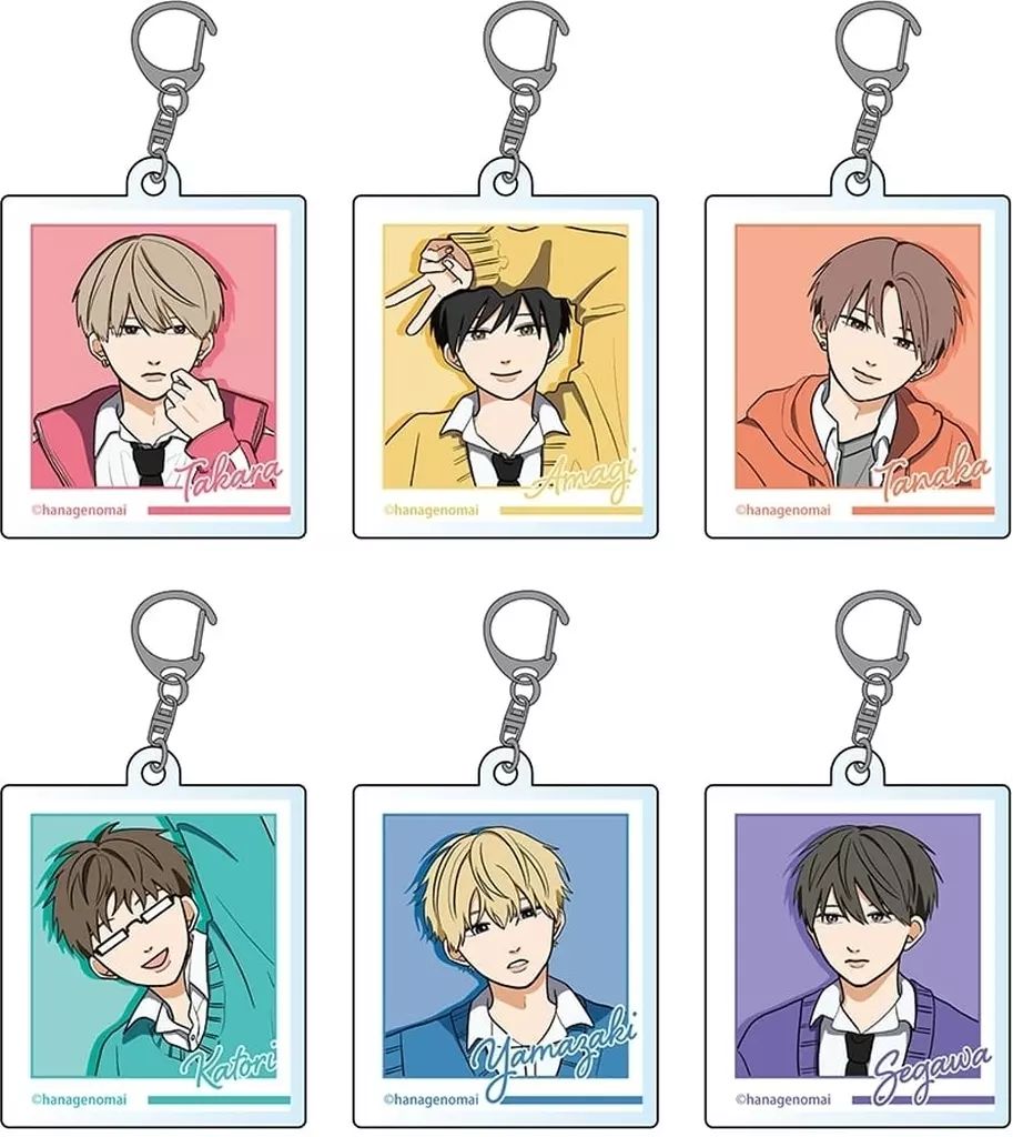 ショップ 斑入りヒイラギ/ 1029 苗：斑入りひいらぎ・五色ひいらぎ*お