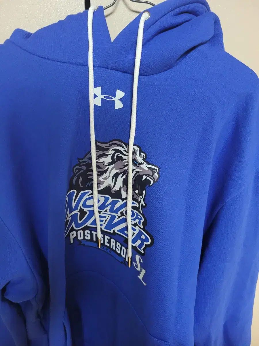 サムスン ライオンズ UNDER ARMOUR アンダーアーマー ブルー Tシャツ WHO Now or Never 115