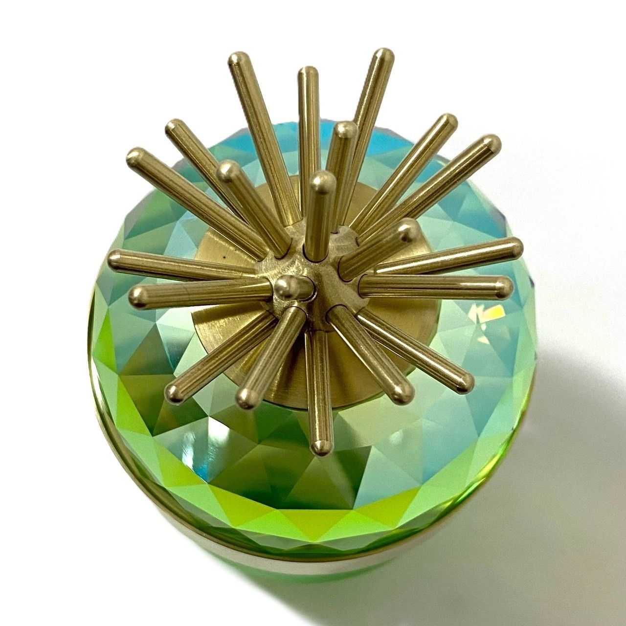 SWAROVSKI】Jungle Beats デコレーションボックス Andoki ライト