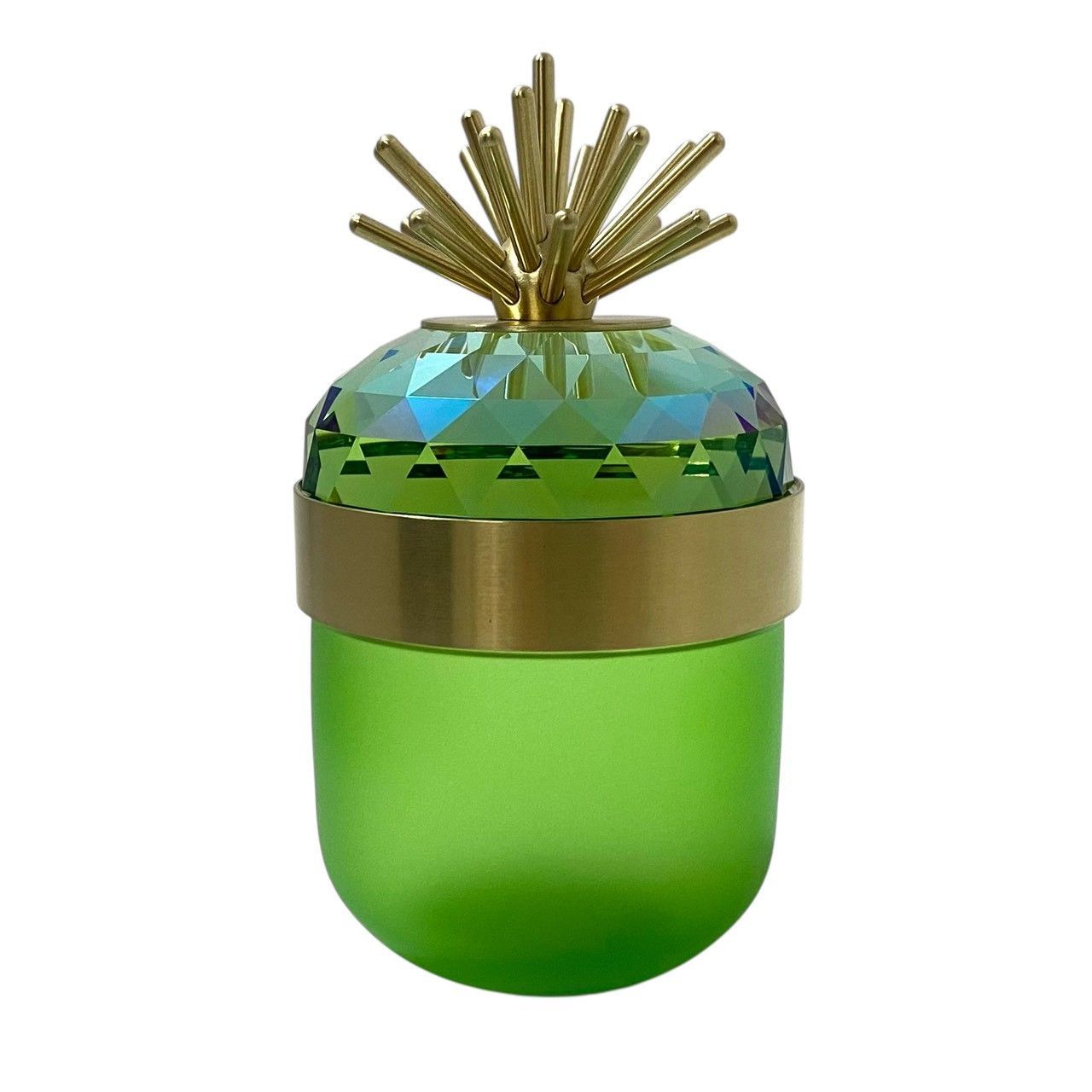 SWAROVSKI】Jungle Beats デコレーションボックス Andoki ライト