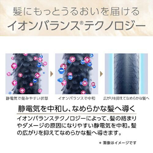 アイボリー コイズミ