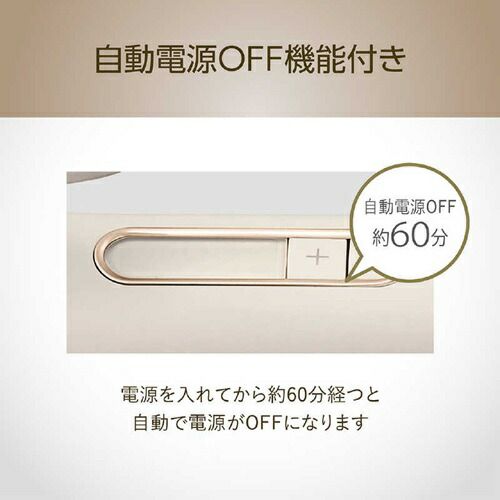 マイナスイオン２ＷＡＹアイロン