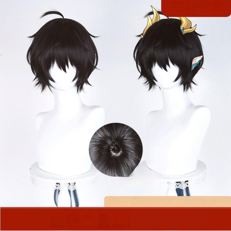 新品 未使用 漫美 崩壊：スターレイル 丹恒 騰荒 コスプレウィッグ
