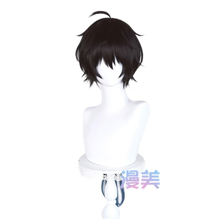 新品 未使用 漫美 崩壊：スターレイル 丹恒 騰荒 コスプレウィッグ