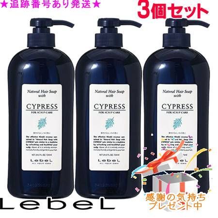 W35 水指 『砂張銅』『箪瓢 平水指』『唐銅風炉師 藤井宗喜』 共箱