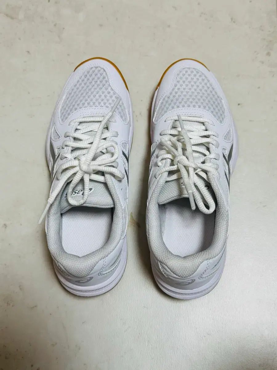 アシックス シューズ GEL RENMA レディース インドア