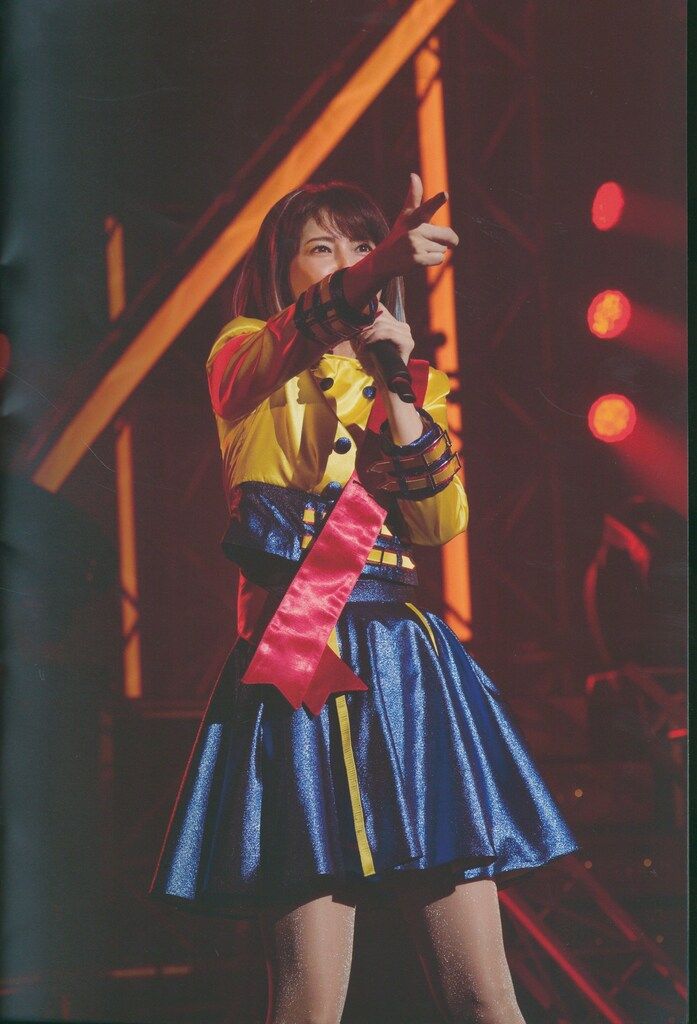 パンフレット 森高千里 30th Anniversary FINAL!