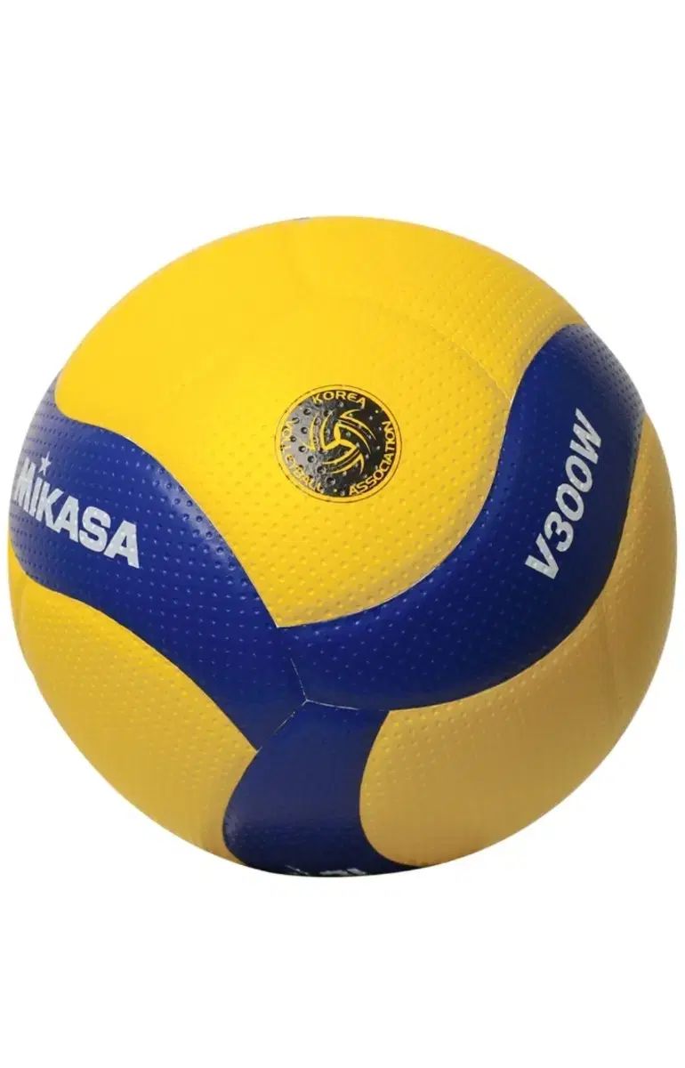 ミカサ V 300 W バレーボール 球