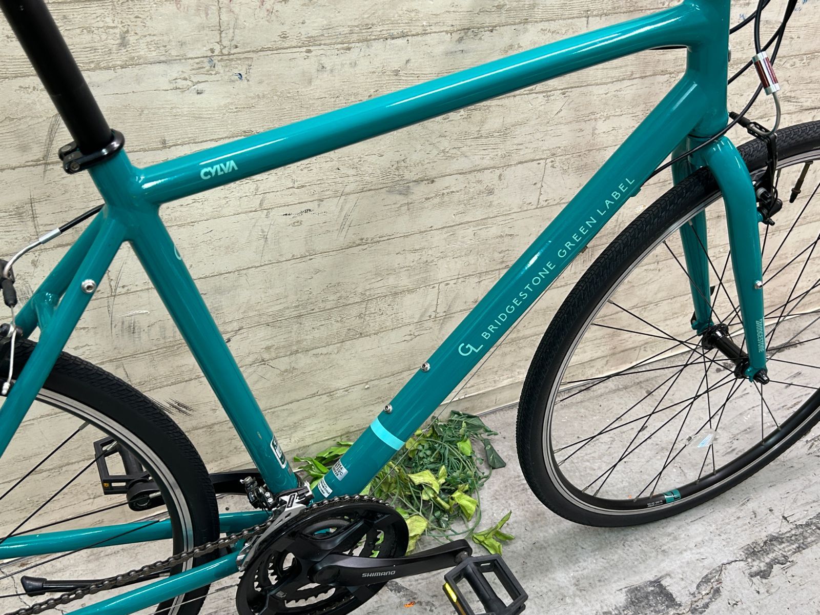 ☆ テルスポ イチ推し!! 美品!! BRIDGESTONE CYLVA F24 GREEN LABEL 