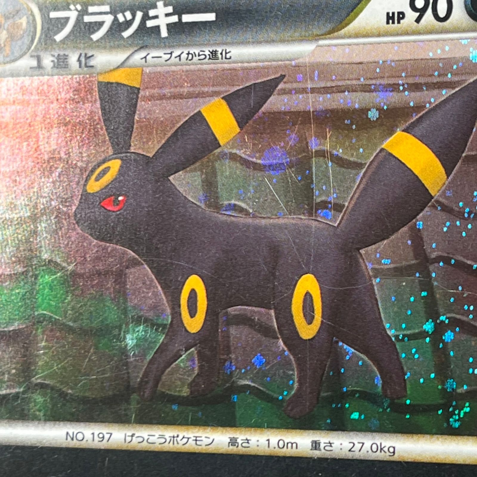 ポケカ ブラッキー ☆ 1ED 1st 037/080 よみがえる伝説 - メルカリ