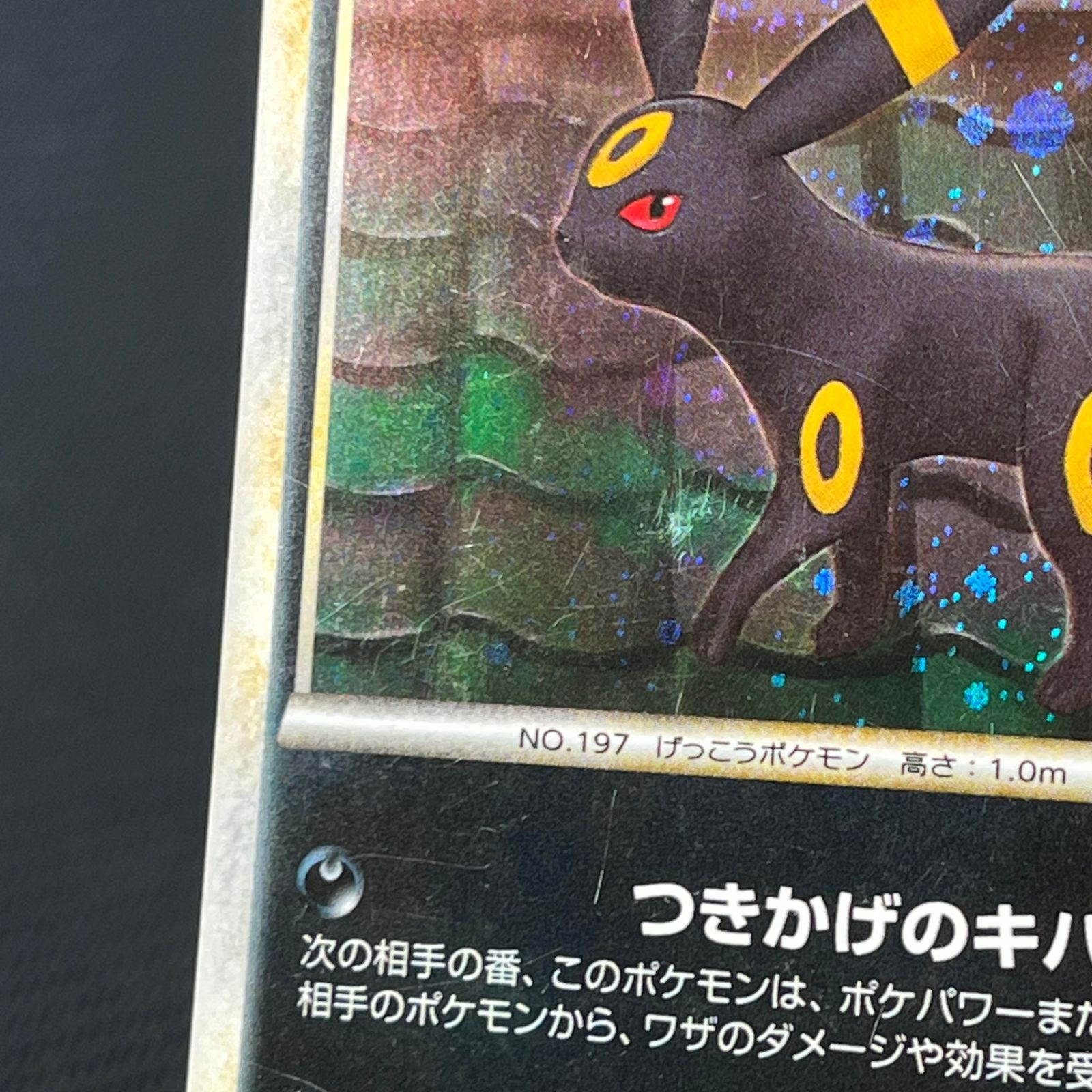 ポケカ ブラッキー ☆ 1ED 1st 037/080 よみがえる伝説 - メルカリ