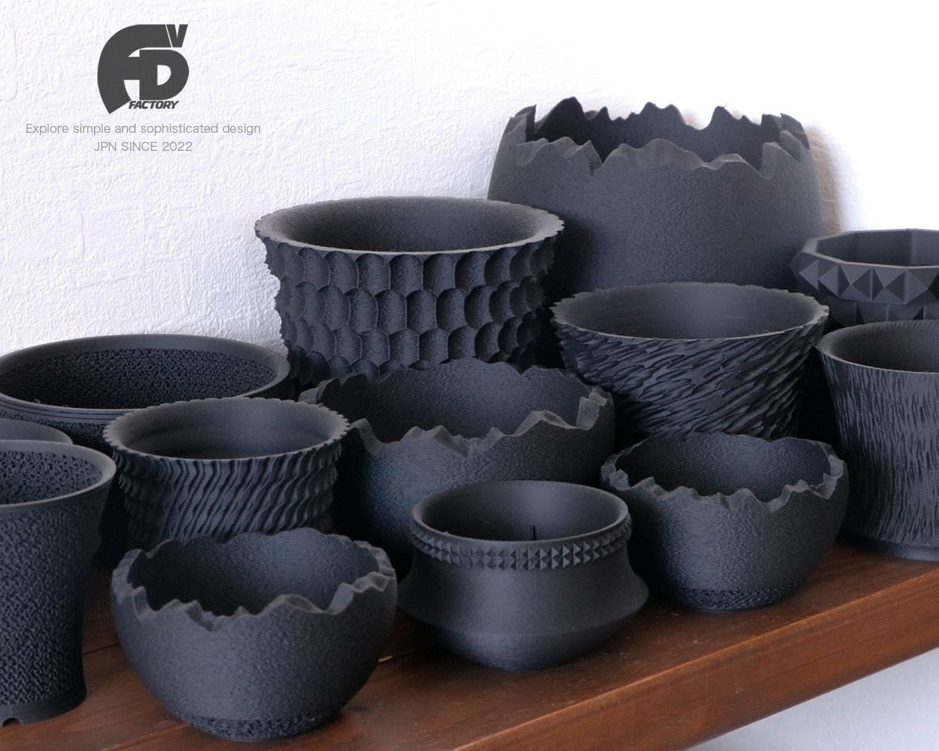 触れたくなるCaudex造形 パキポディウム グラキリス クリスマス限定