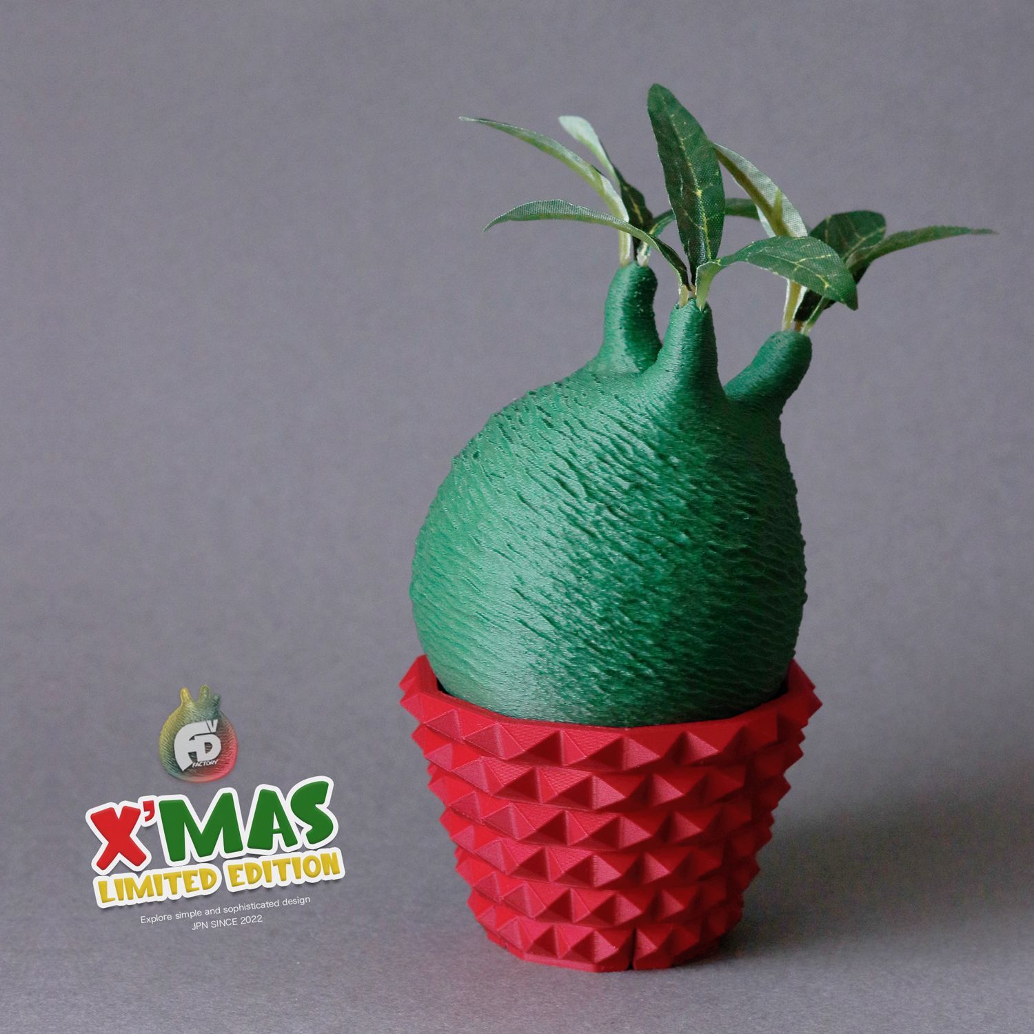 触れたくなるCaudex造形 パキポディウム グラキリス クリスマス限定