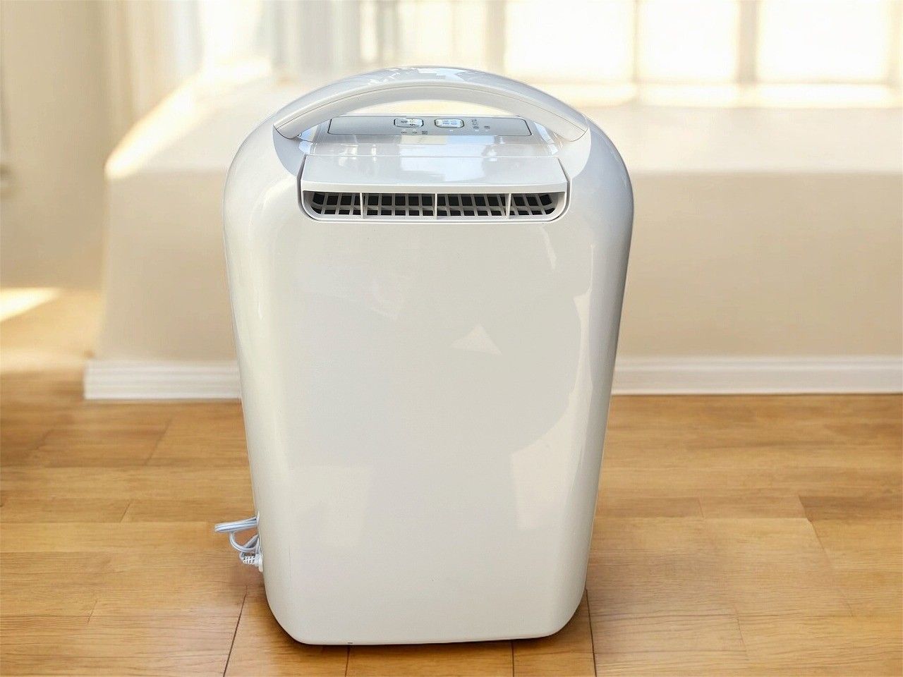 ☆状態良好☆ IRIS OHYAMA アイリスオーヤマ 衣類乾燥除湿機 KIJD-H202