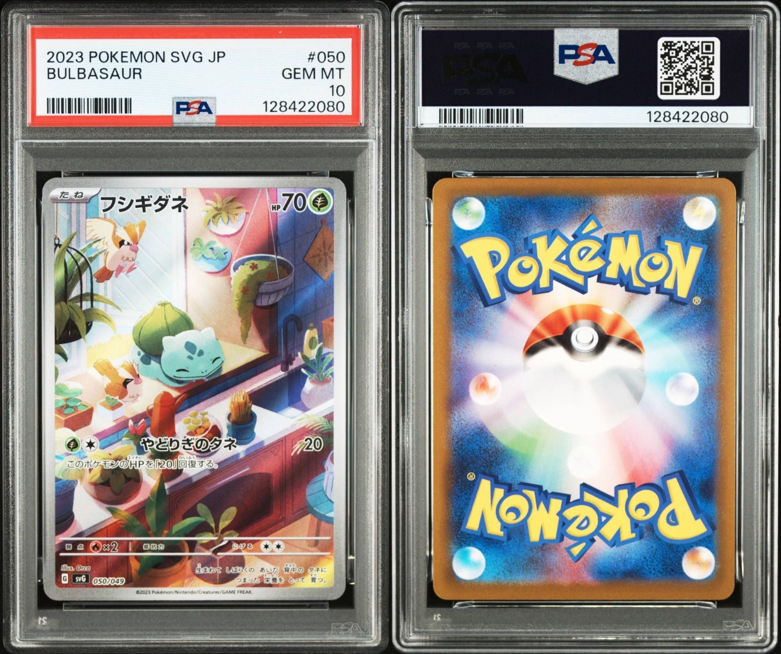 PSA10 3連番 御三家 フシギダネ ヒトカゲ ゼニガメ AR - メルカリ