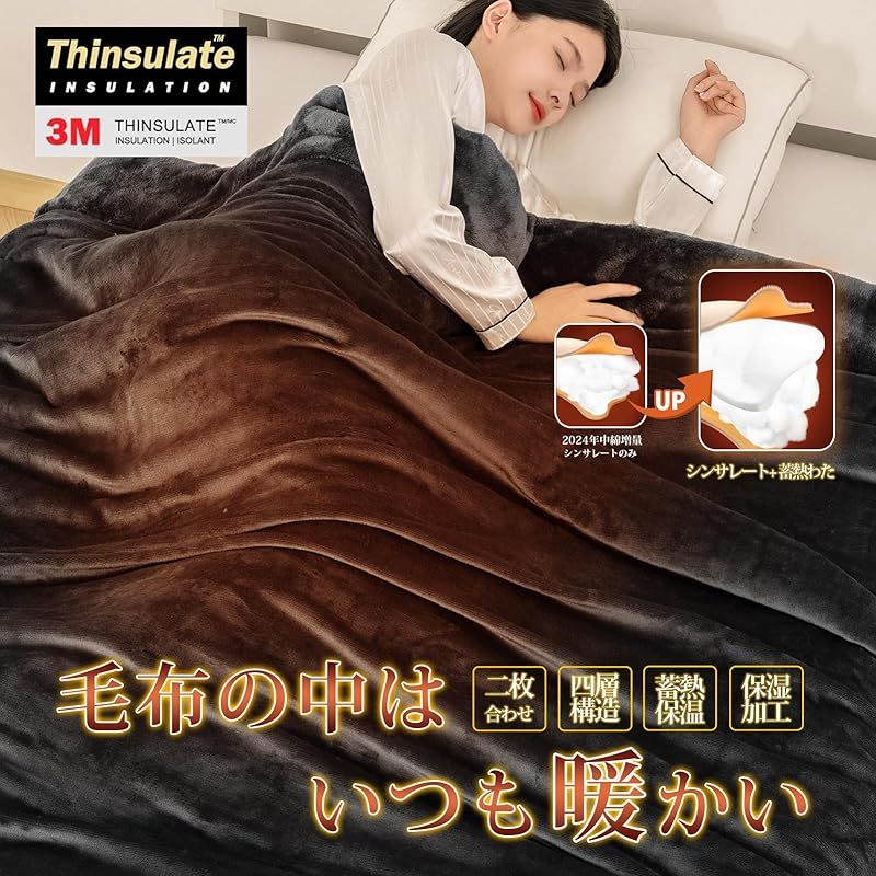 HARUMIN シンサレート 毛布 厚手【中綿増量】 冬用 シングル