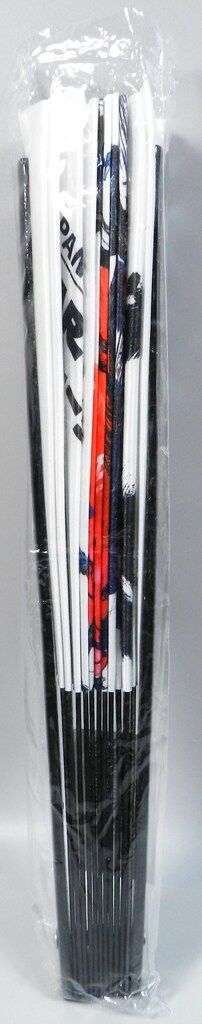 STAR WARS JAPAN 2025 Key Art Fan