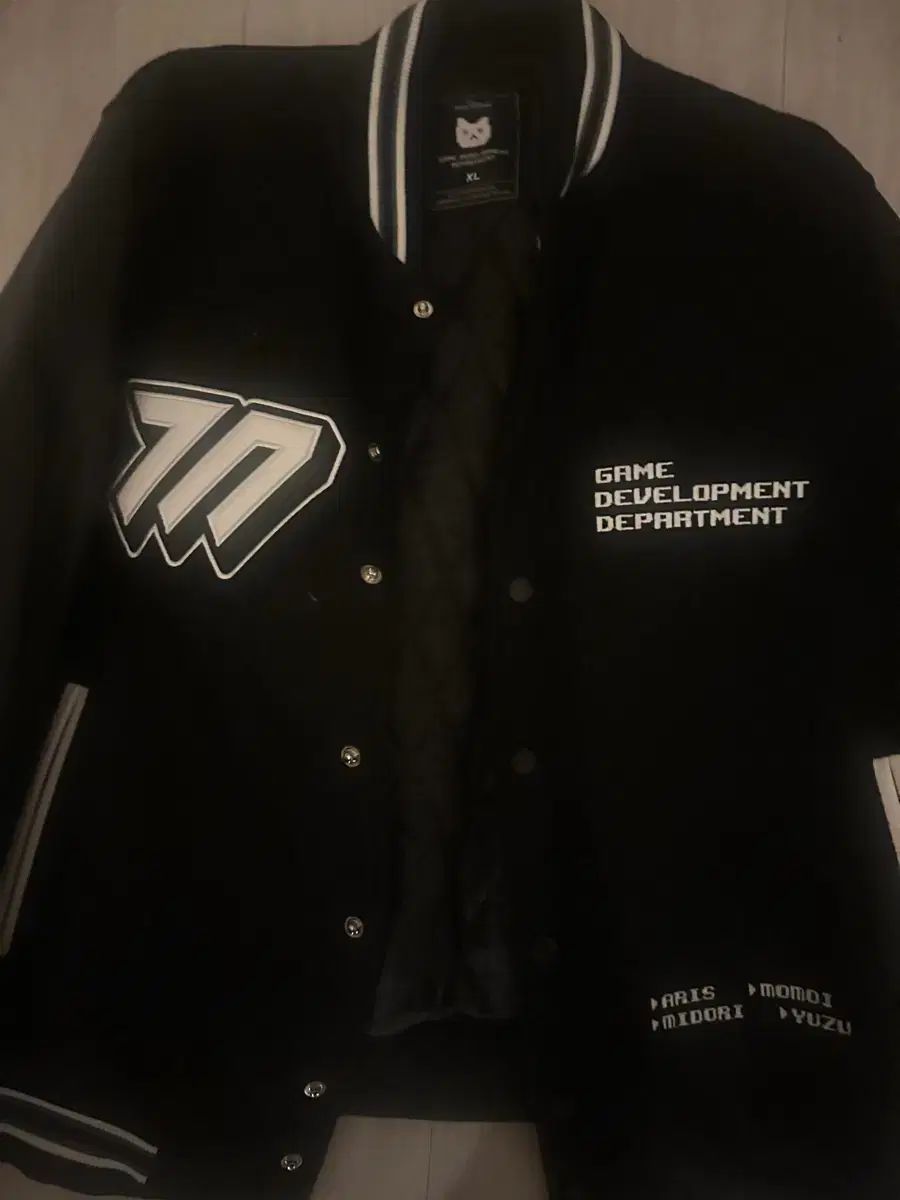 Blue Archive(ブルーアーカイブ・ブルアカ) ゲーム開発部 アウター XL