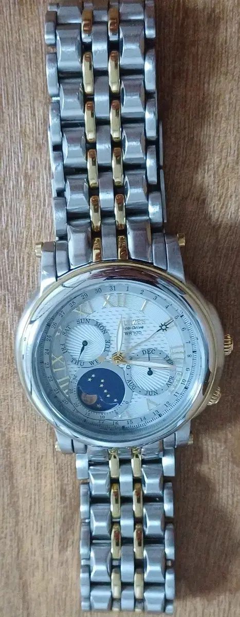 シチズン Eco Drive WR 100 時計