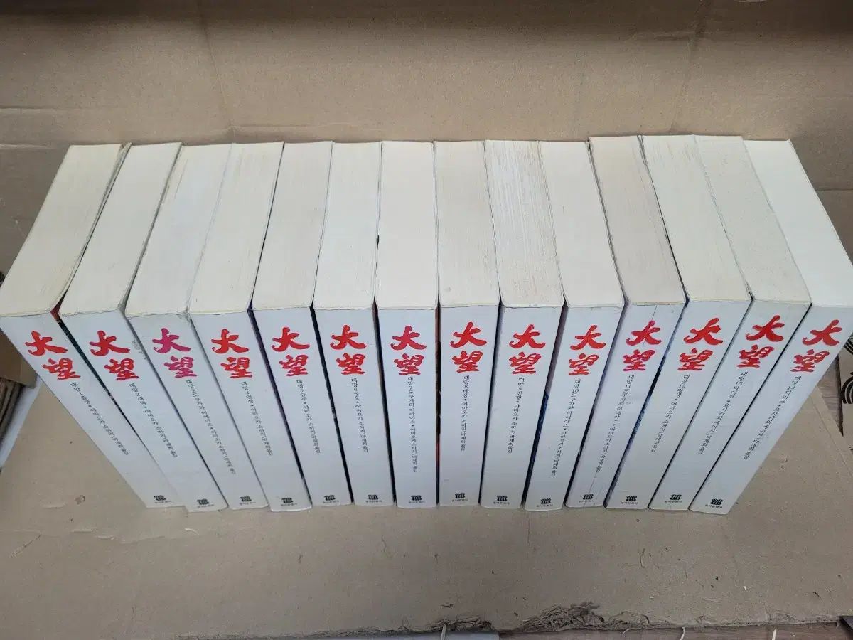 大願全14巻セット 山岡荘八 2006