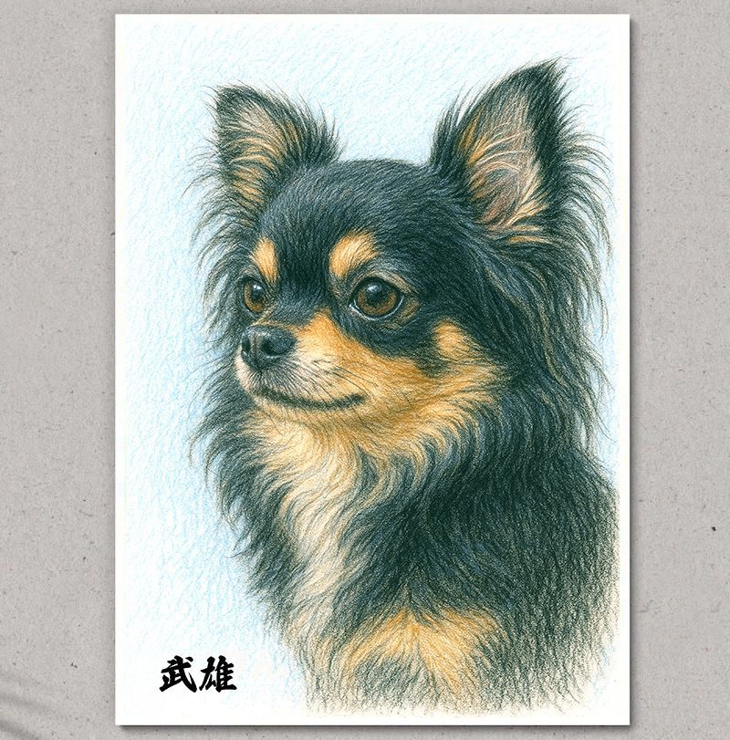 チワワのイラストポスター 横顔 A4 名入れ無料 ブラックタン CHI-009