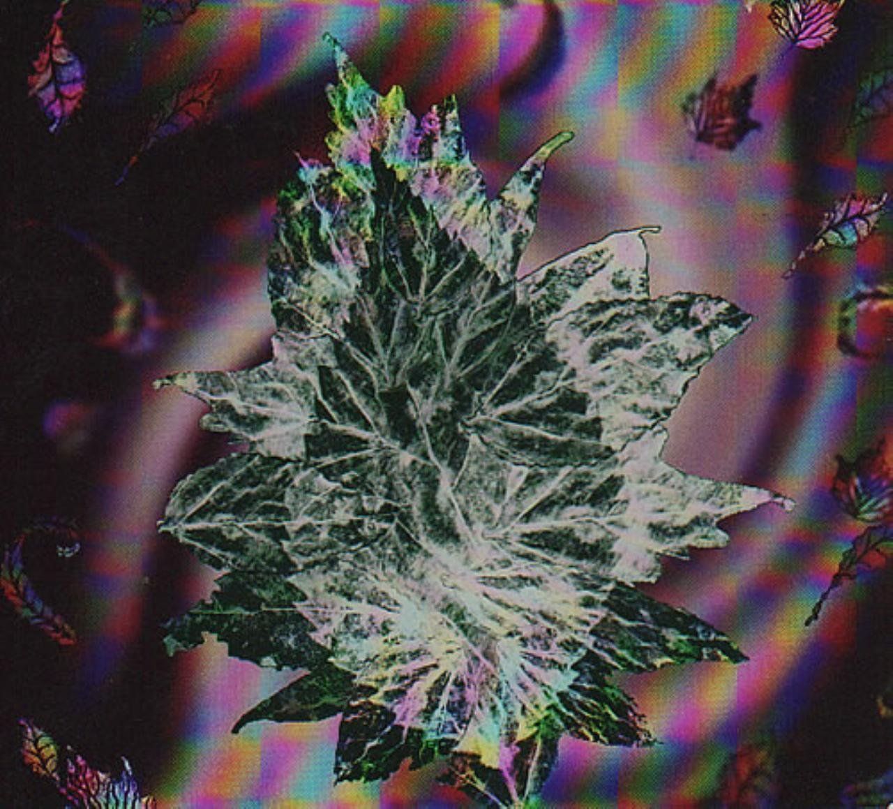 CD Butterfly Child K 1503-251025 B-6767