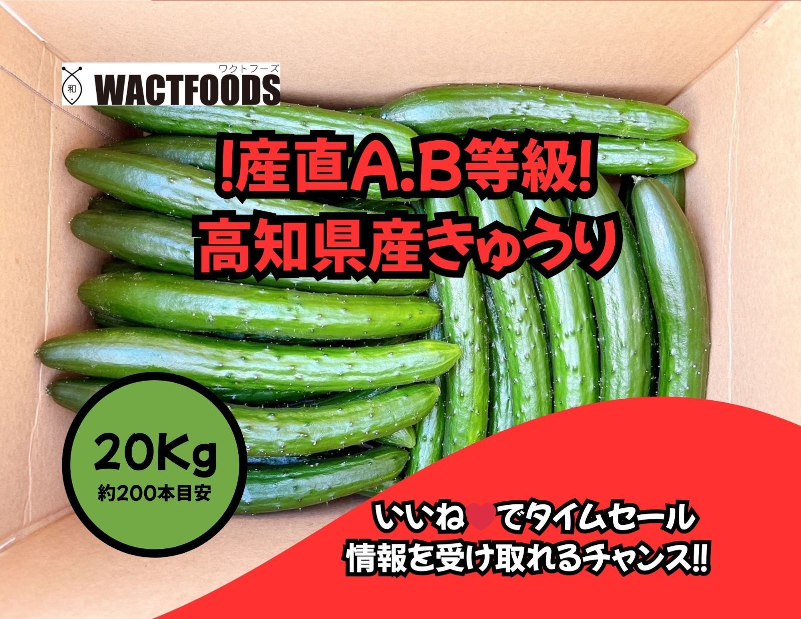 ❕産直品❕高知県産きゅうり20キロ(約200本) 人気