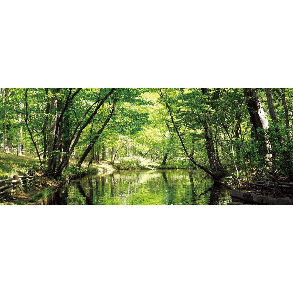  緑の小川 パノラマサイズ お風呂ポスター 防水ポスター バスグッズ バス 洗面所用品