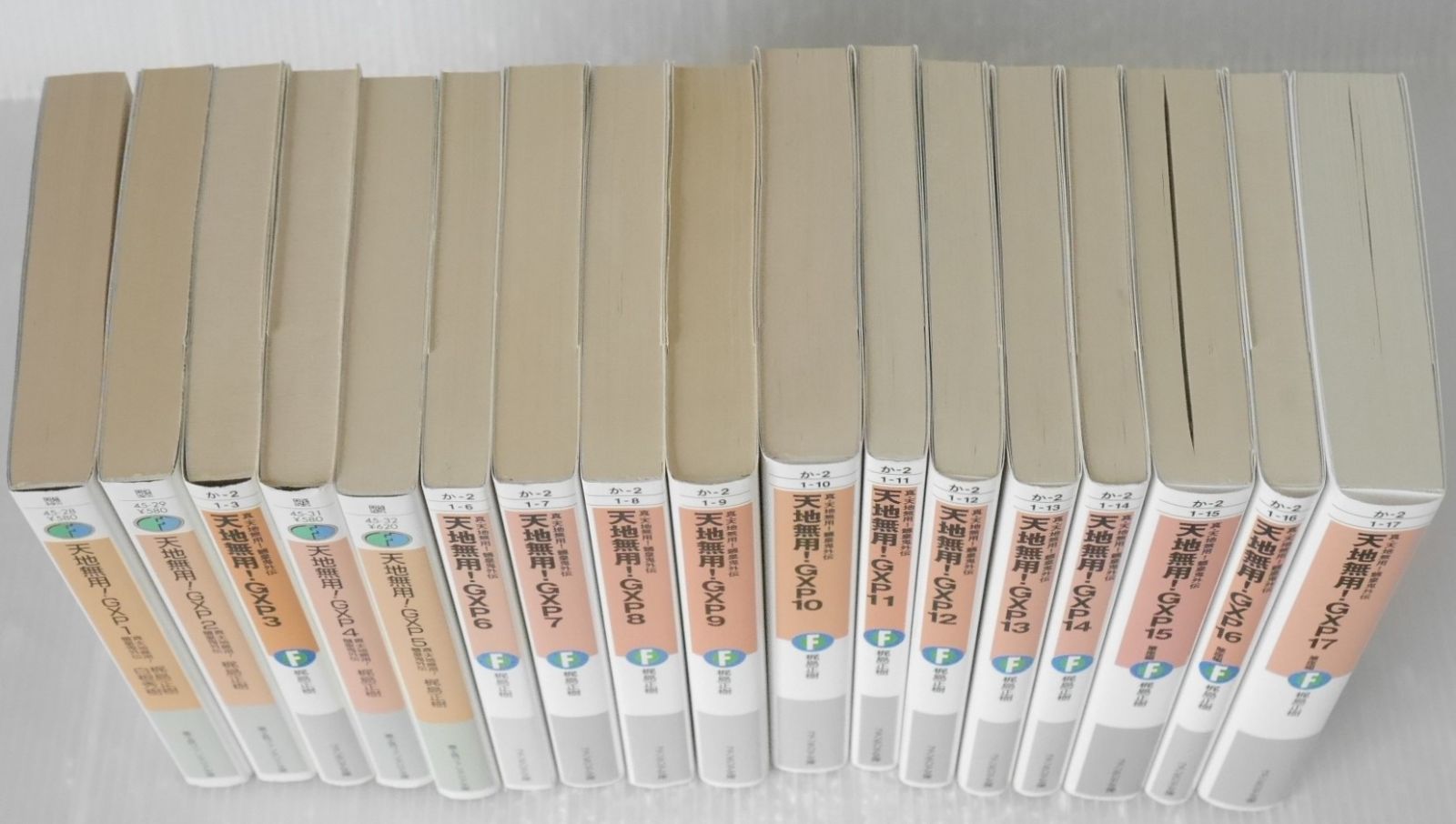 真・天地無用!魎皇鬼外伝 天地無用!GXP 1-17巻セット - Novel: Shin