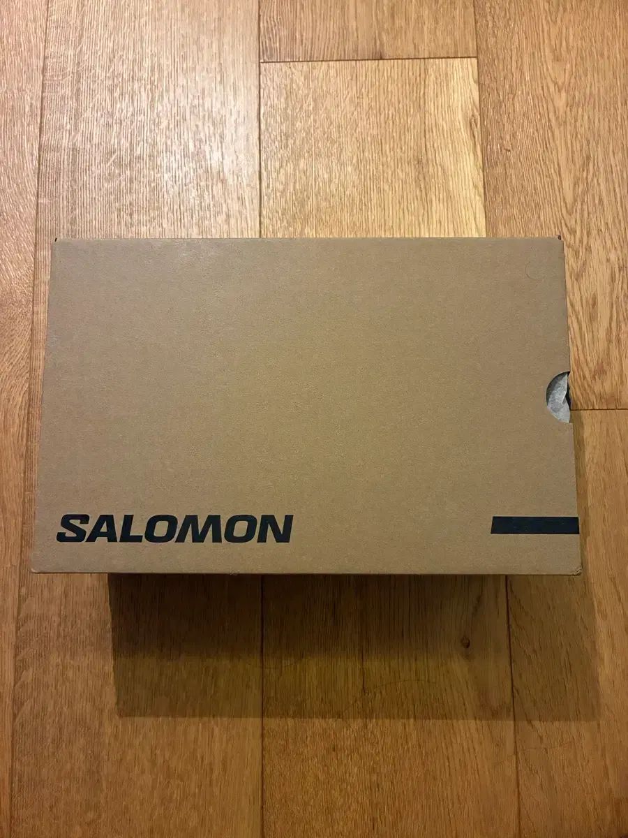 サロモン スピードヴァース 白 バニラ アイス FANTOM