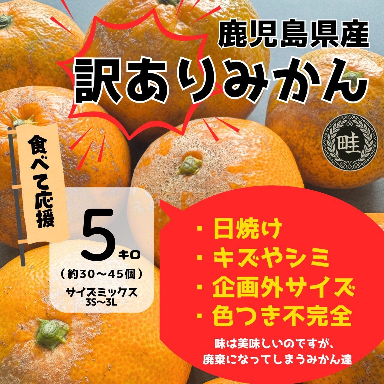 訳アリ】【畦屋のみかん】【5キロ】【数量限定】鹿児島県出水産 温州