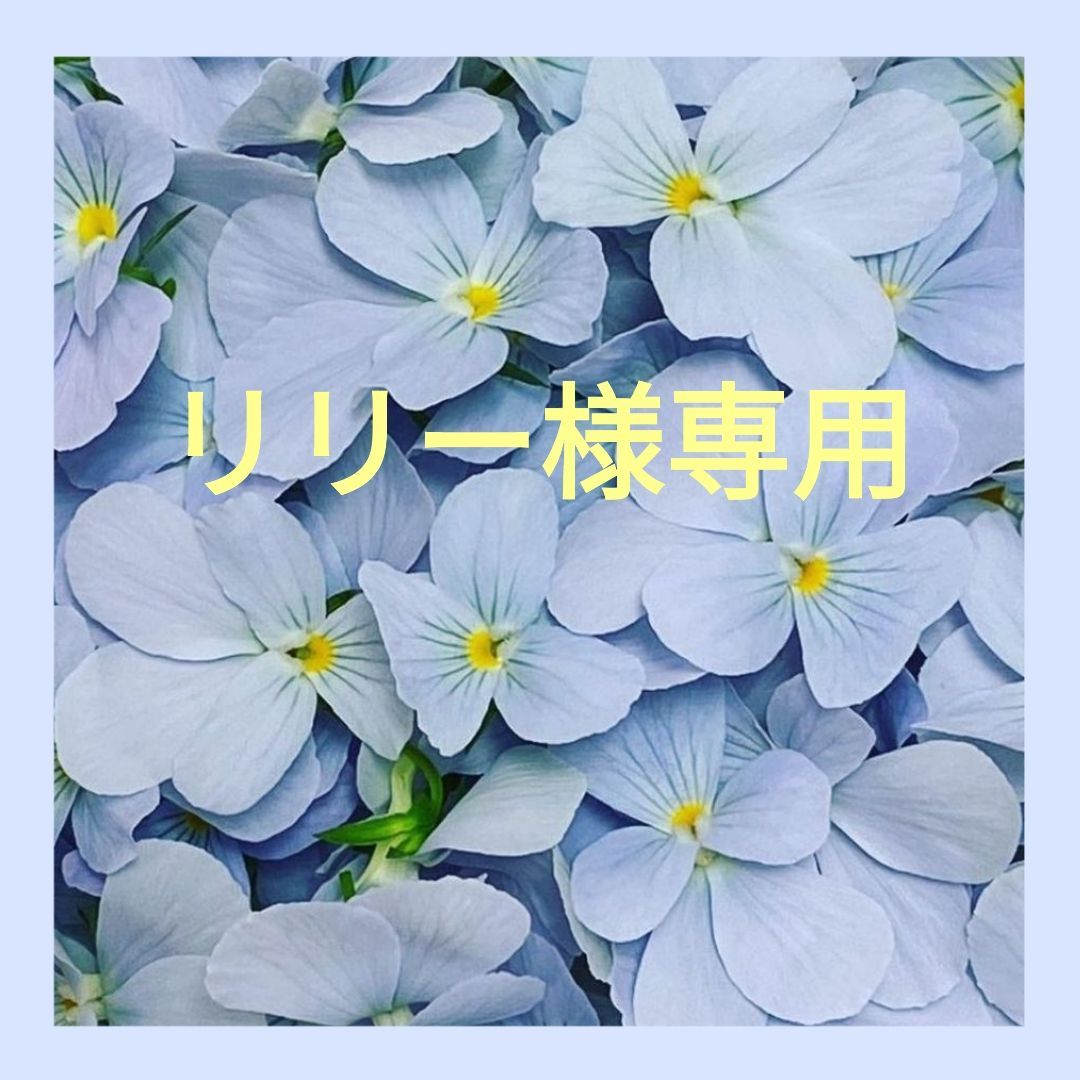 リリー様専用 - メルカリ