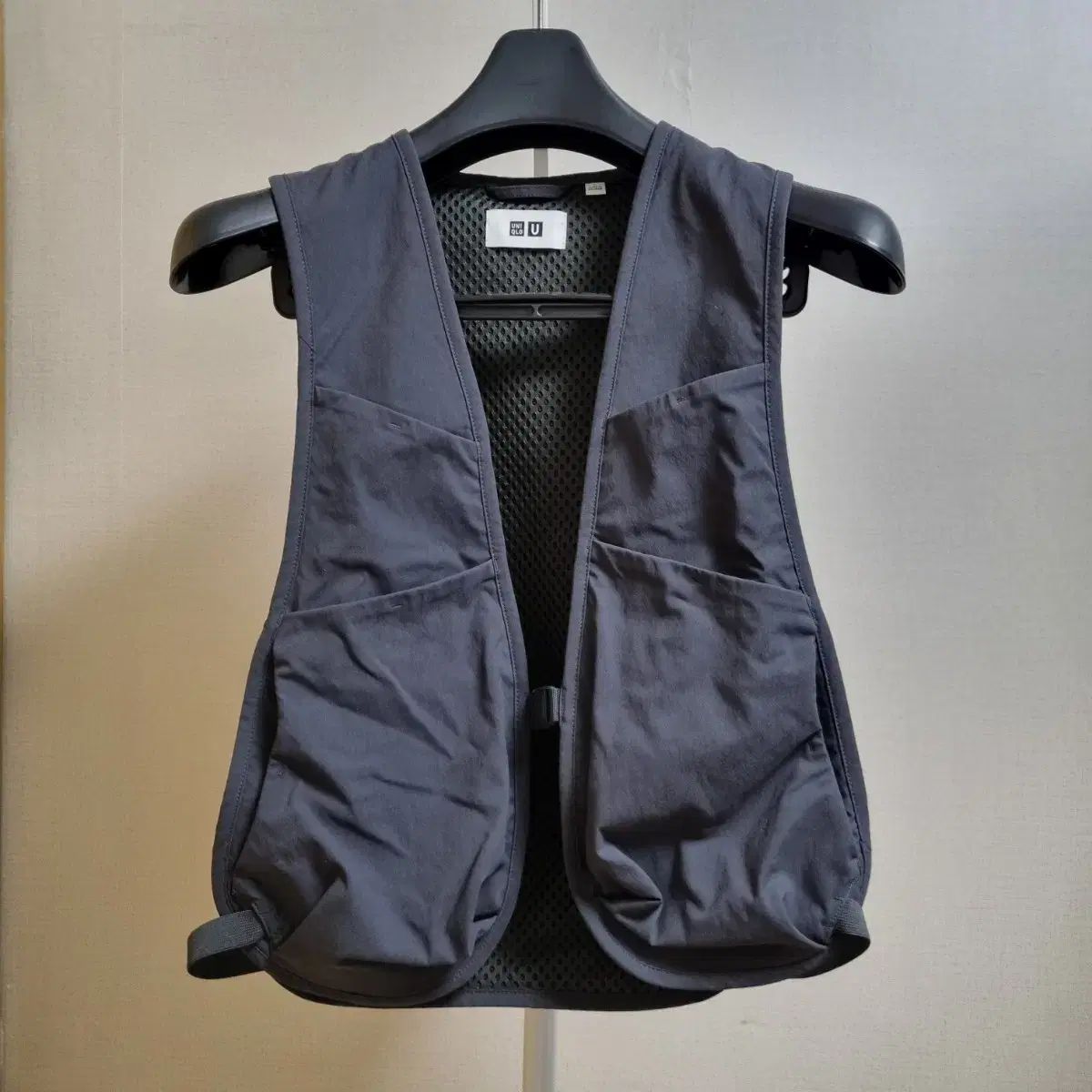 希少 大判リトグラフ ダン・パルトゥシュ 「シクラメン」