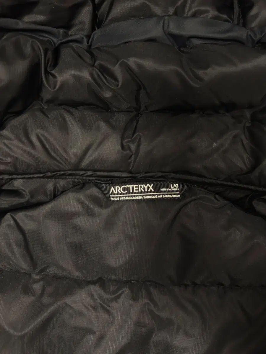 ARC TERYX アークテリクス トーリウム フーディ メンズ L サイズ