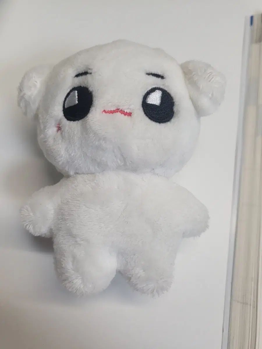 NCT NCT127 テヨン テョンヤ ぬいぐるみ 20cm nct テヨン ぬいぐるみ 10cm