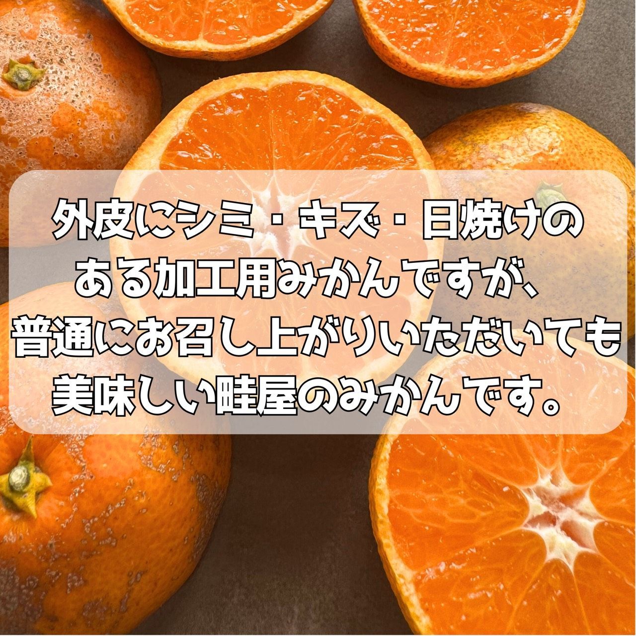 【神コスパ】【甘くて鮮度抜群】【畦屋のみかん】【20キロ】鹿児島県出水産 神コスパ】【甘くて鮮度抜群】【畦屋のみかん】【20キロ】鹿児島県出
