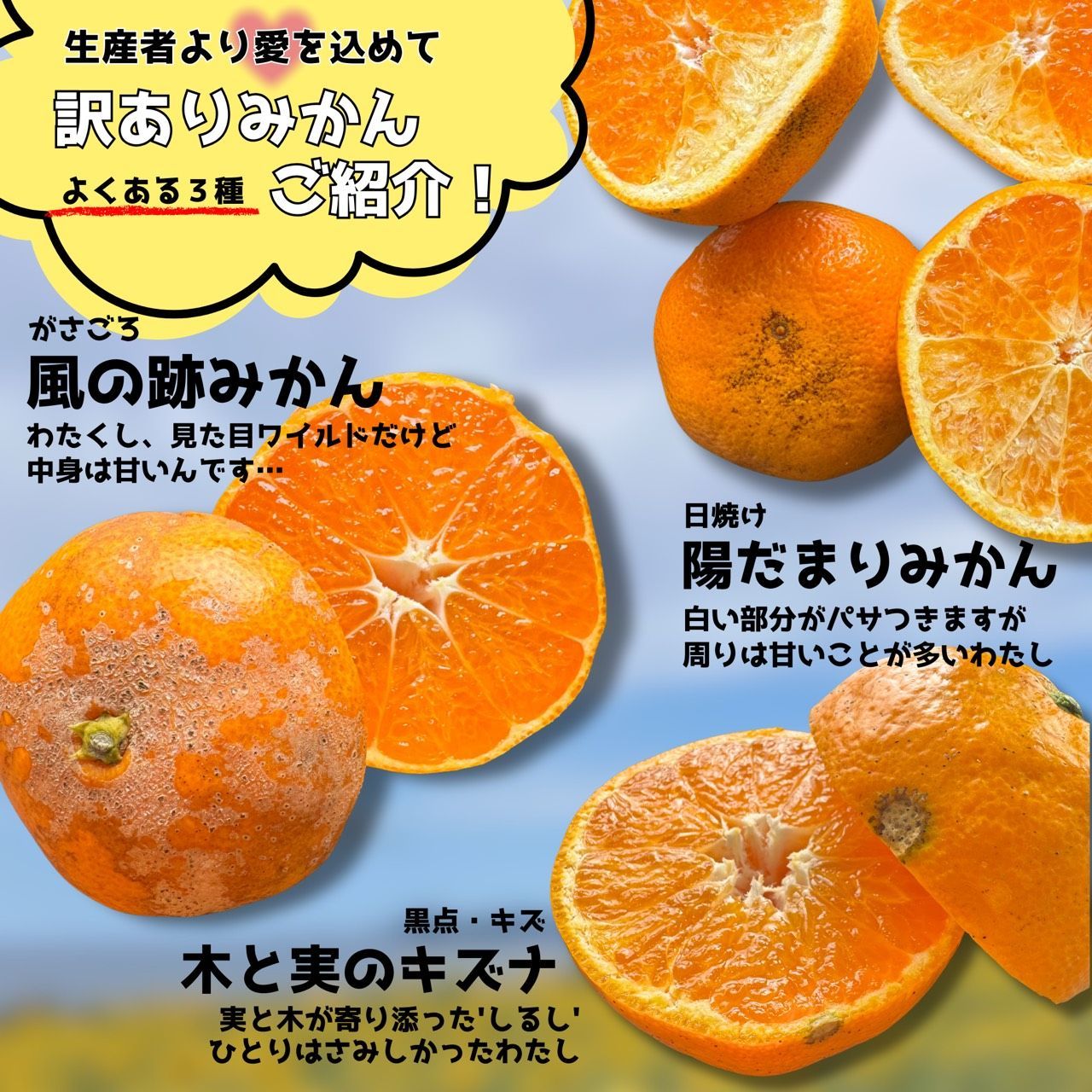 【神コスパ】【甘くて鮮度抜群】【畦屋のみかん】【20キロ】鹿児島県出水産 神コスパ】【甘くて鮮度抜群】【畦屋のみかん】【20キロ】鹿児島県出