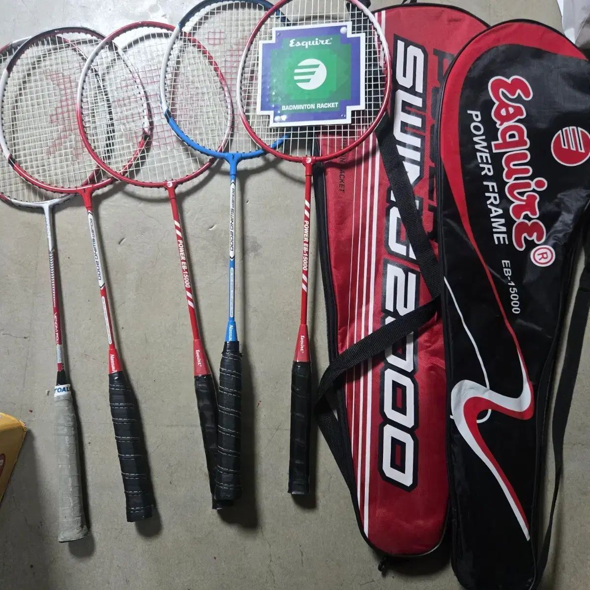 ZEAL 20周年アライくんset（カメ）サイン入り 本 DVD